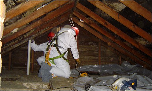 Your Local Northern Ireland Asbestos Surveyor
