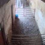 asbestos-farm-buildings